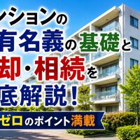 画像26502