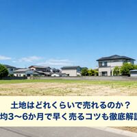 画像26697