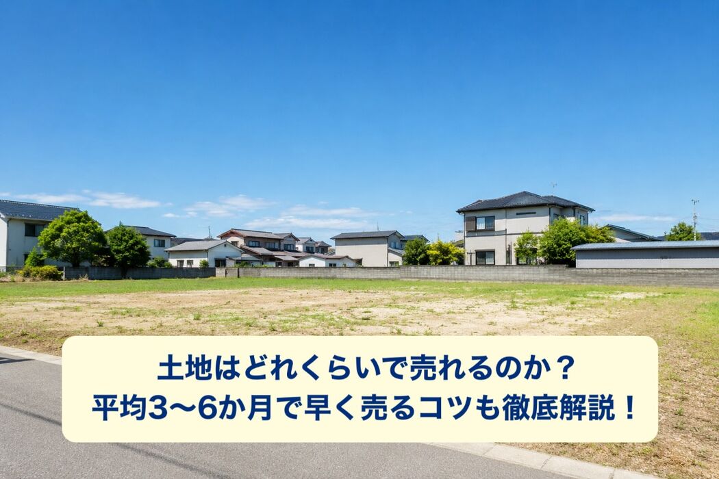 画像26697